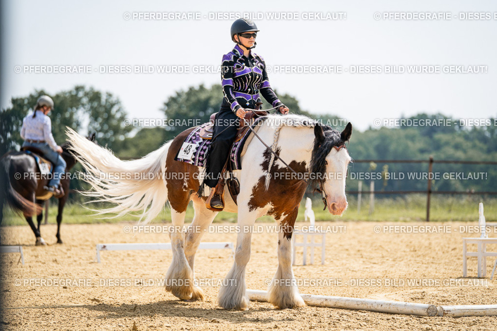 DSC00072 | Pferdegrafie