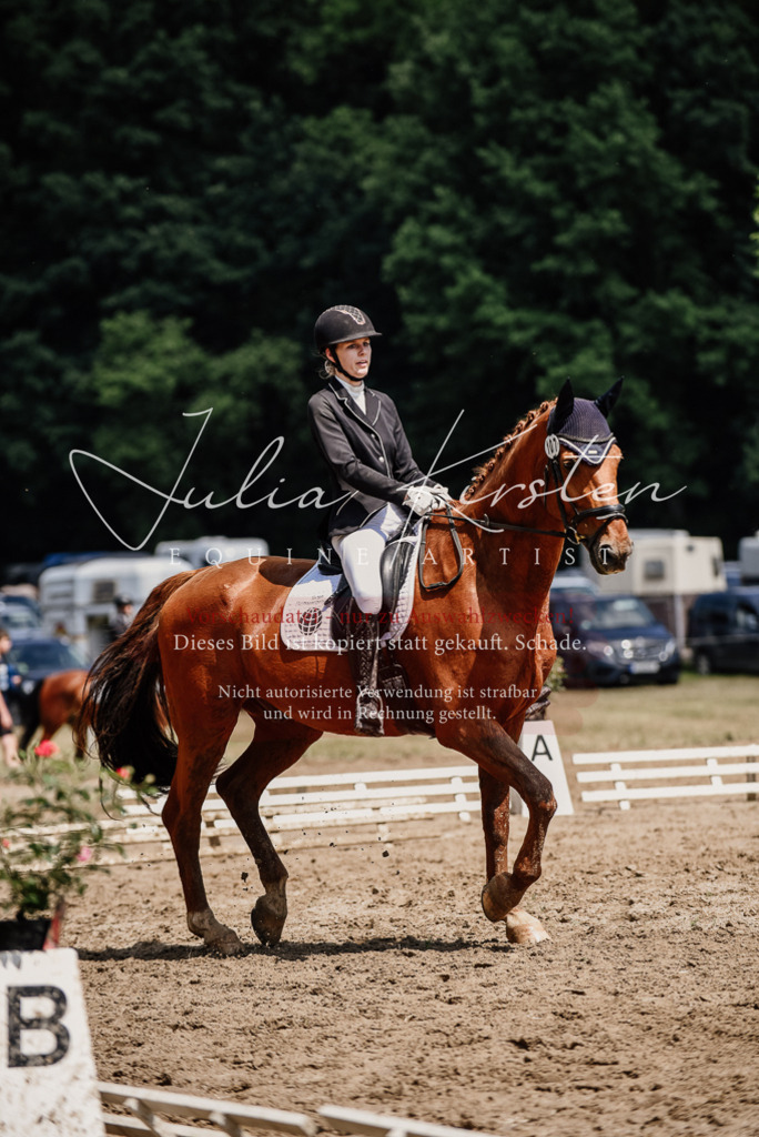 DSC_1555 | Pferde- und Turnierfotografie in Westsachsen. Pferdeportraits, Auftragszeichnungen und intuitive Kunst.