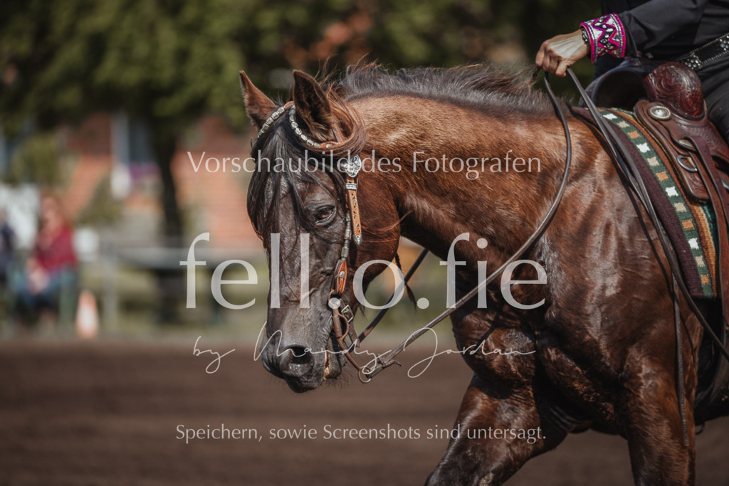 fell.o.fie_mandyjordan_2024_06_09300 | Mandy Klecke Fellfotografie, fell.o.fie Fotografenshop - Realisiert mit Pictrs.com
