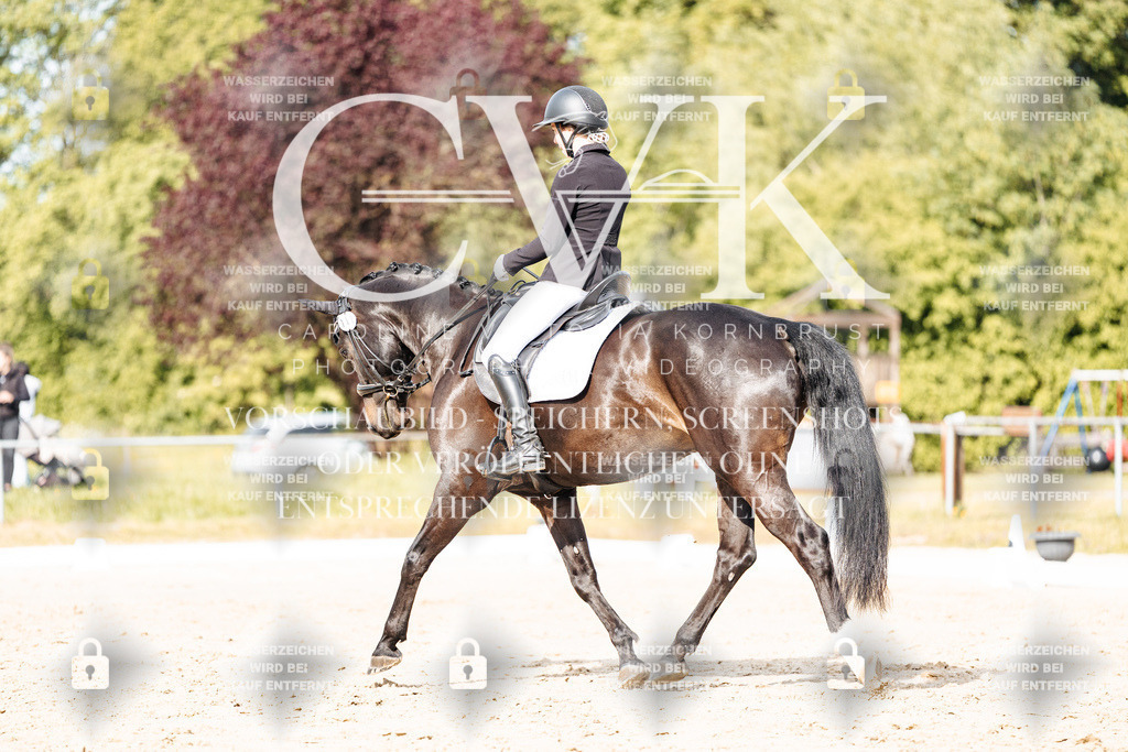 CK900376 | Turnierfotografie Pferdefotografie Trier Rheinland-Pfalz Pferdesport Reitsport Tierfotografie Sportfotografie Pferdevideo Pferdevideografie Equestrianvideography equestrianphotography  - Realisiert mit Pictrs.com