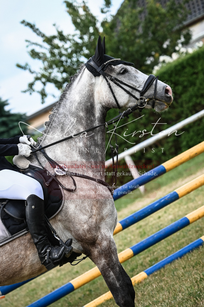 DSC_8359 | Pferde- und Turnierfotografie in Westsachsen. Pferdeportraits, Auftragszeichnungen und intuitive Kunst.