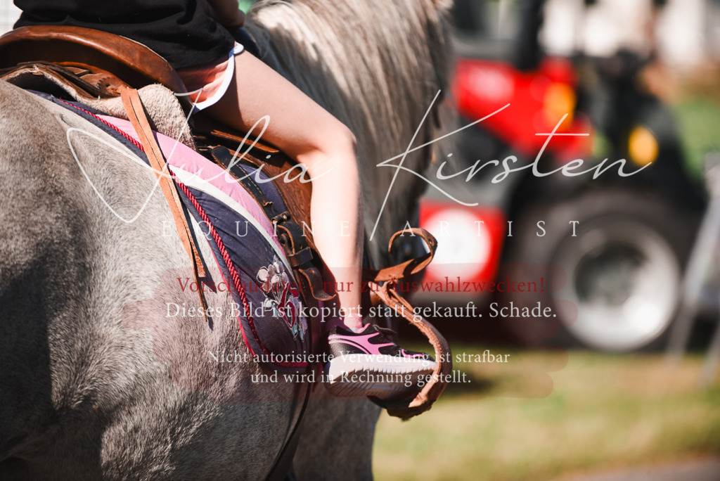 DSC_2665 | Pferde- und Turnierfotografie in Westsachsen. Pferdeportraits, Auftragszeichnungen und intuitive Kunst.