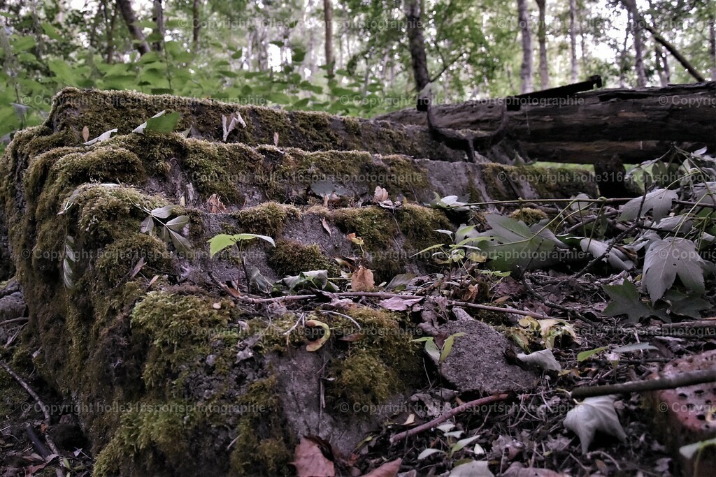 DSC_0031 (2) | Sportfotografie , Motorsport, Motoross, Reitsport, Mointainbike, Enduro,
Landschaft , Outdoor, Eventfotografie, Landschaft, Bilder online bestellen - Realisiert mit Pictrs.com