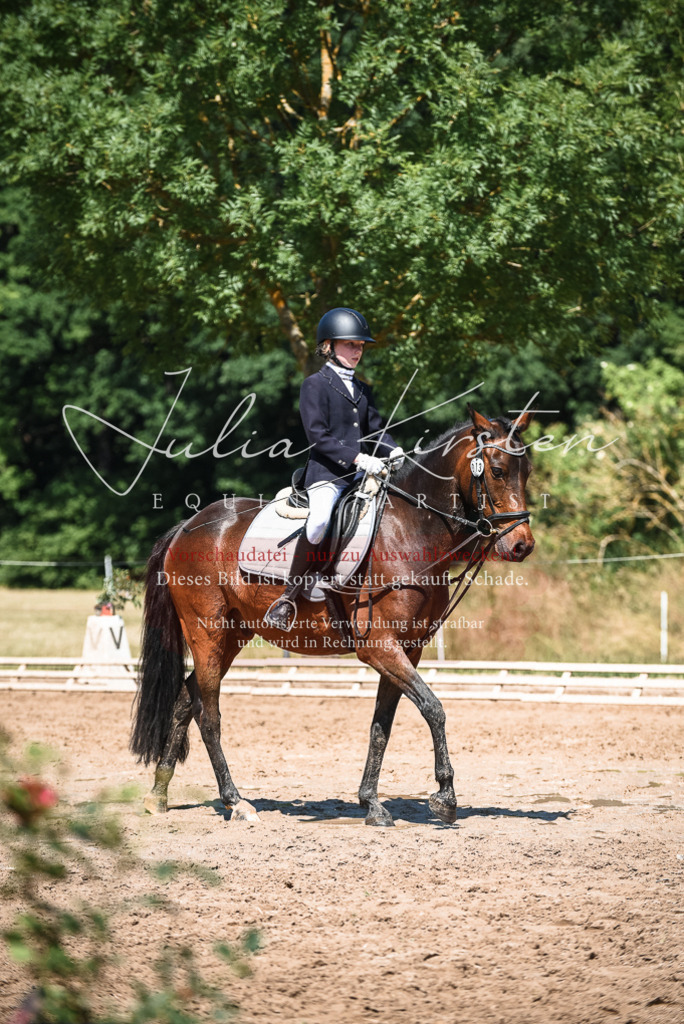 DSC_3308 | Pferde- und Turnierfotografie in Westsachsen. Pferdeportraits, Auftragszeichnungen und intuitive Kunst.
