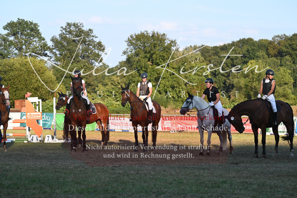 DSC_9254 | Pferde- und Turnierfotografie in Westsachsen. Pferdeportraits, Auftragszeichnungen und intuitive Kunst.