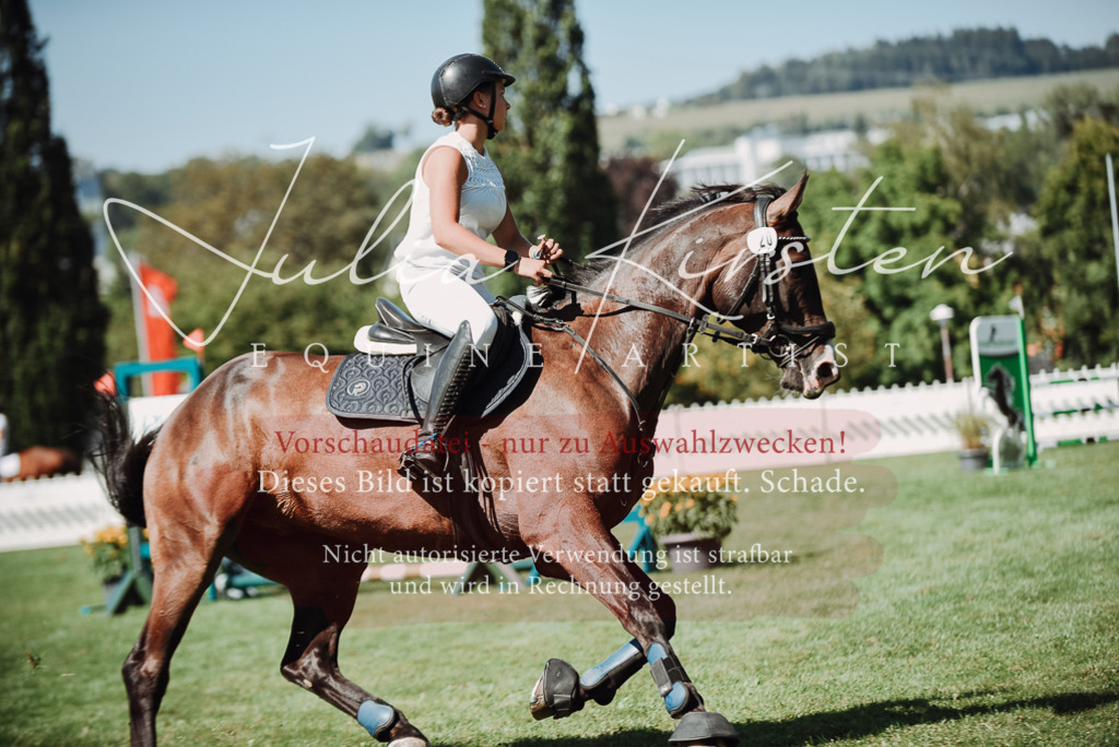 DSC_3052 | Pferde- und Turnierfotografie in Westsachsen. Pferdeportraits, Auftragszeichnungen und intuitive Kunst.