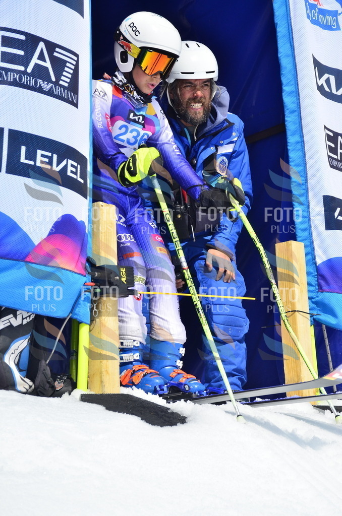 _ELE1690 | holidayphoto