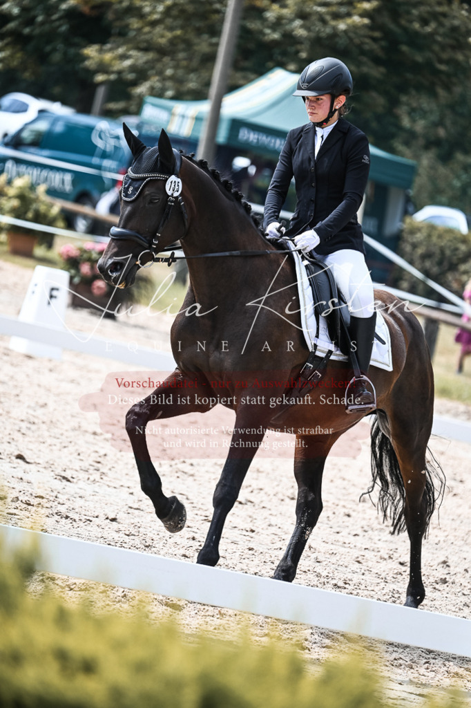 DSC_5265 | Pferde- und Turnierfotografie in Westsachsen. Pferdeportraits, Auftragszeichnungen und intuitive Kunst.