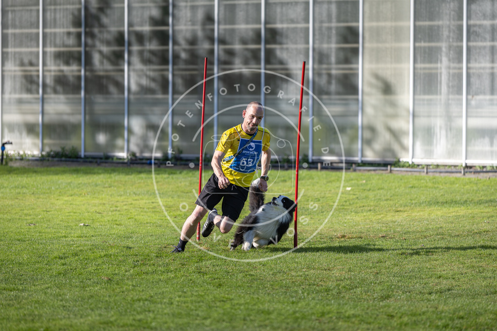 Pfotenfotografie.de_DV3A3458 | Hundefotografie, Tierfotograf, Pfotenfotografie, Fotoshooting Hund, Hunde Portrait, Hundesport, Hundeportraits, Heideshooting, Hunde, Sportfotograf, Hundefotograf, Turnierhundsport, THS, canicross - Realisiert mit Pictrs.com