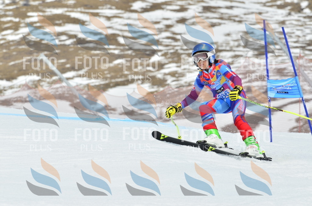 _ELE2948 | holidayphoto