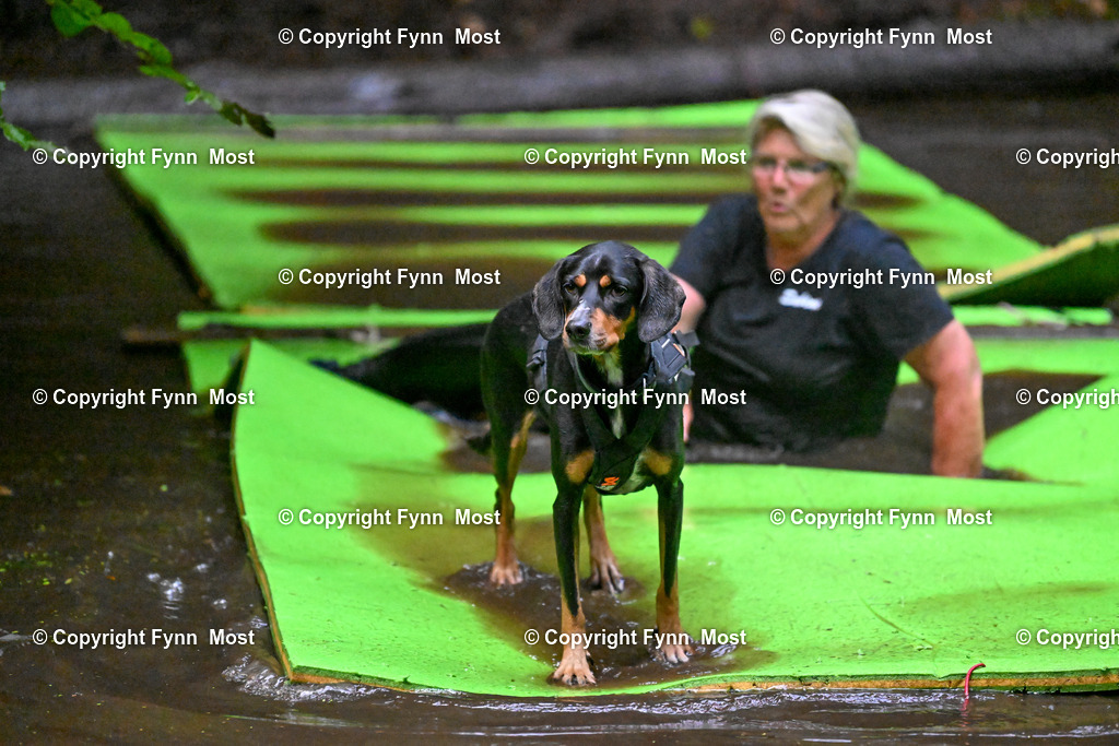 DSC_8349 | Hallo und herzlich Willkommen auf meiner Shop-Seite Fynn Most.

Ich wünsche Dir viel Spaß beim stöbern durch die Bilder, wenn Du Fragen hast oder Bilder vermisst, kannst du mir gerne eine Nachricht schreiben. - Realisiert mit Pictrs.com