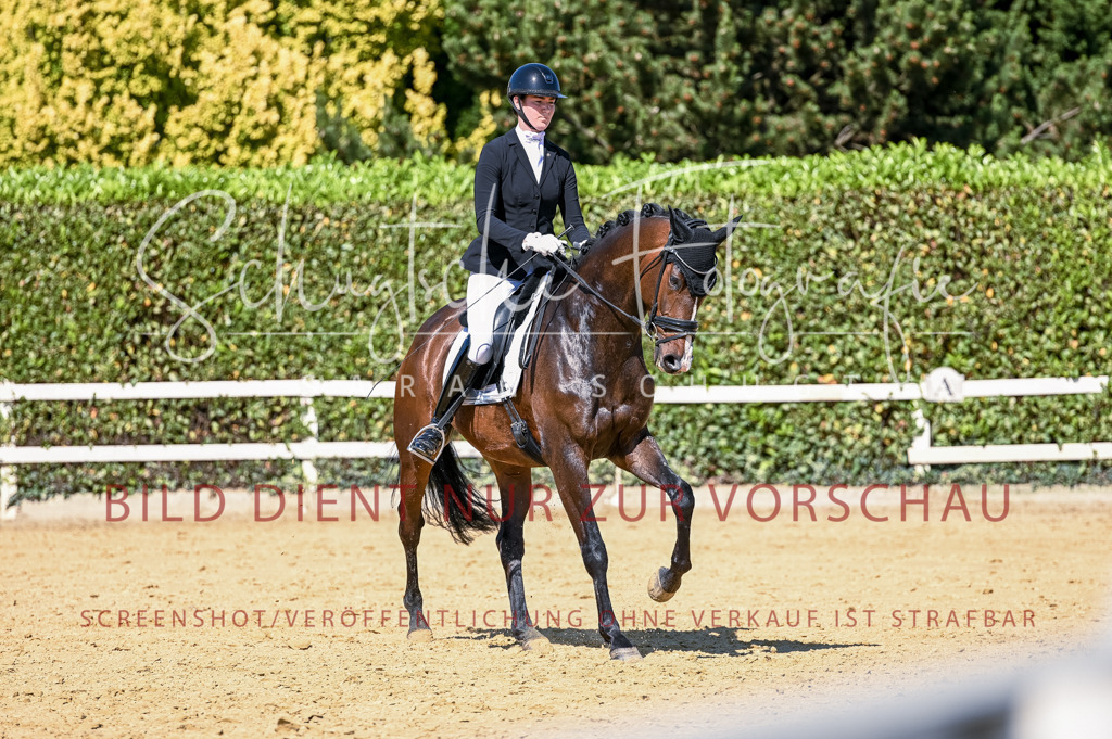 Schugtsche-Aluta25-50.Dressurpferdeprf.L-70 | Schugtsche Fotografie - Realisiert mit Pictrs.com