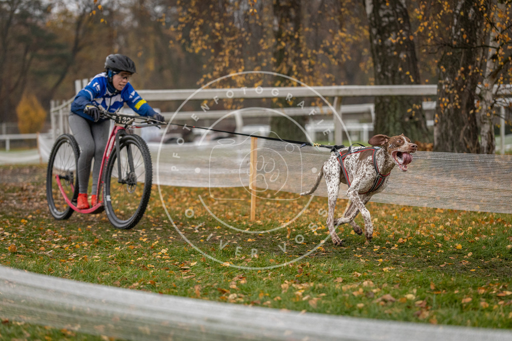 CaniXpix_DV3A7551 | Hundefotografie, Tierfotograf, Pfotenfotografie, Fotoshooting Hund, Hunde Portrait, Hundesport, Hundeportraits, Heideshooting, Hunde, Sportfotograf, Hundefotograf, Turnierhundsport, THS,  - Realisiert mit Pictrs.com