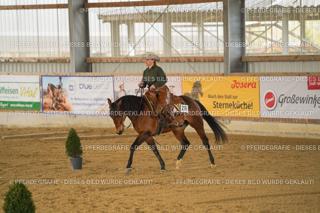 DSC04333 | Pferdegrafie