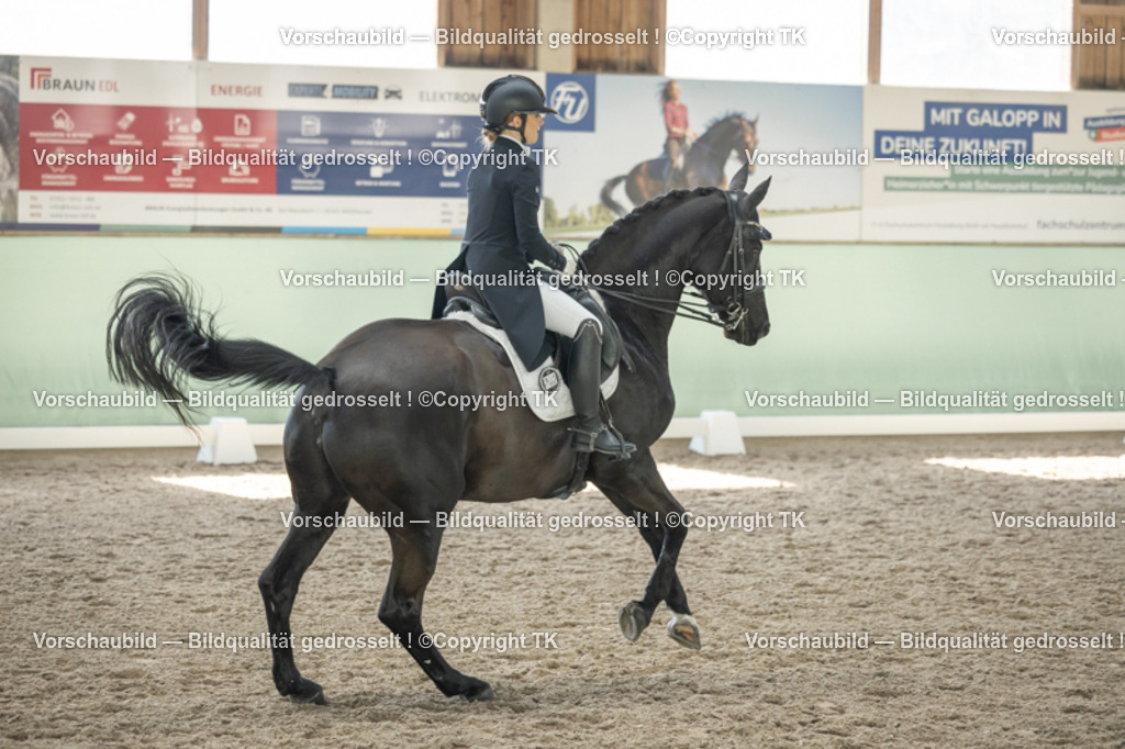 _D5A1702 | Emotionale Pferde- & People-Fotografie rund um Heidelberg, Leimen & Umgebung. Natürliche Fotos von Pferd, Mensch & Familie. Jetzt Termin sichern!