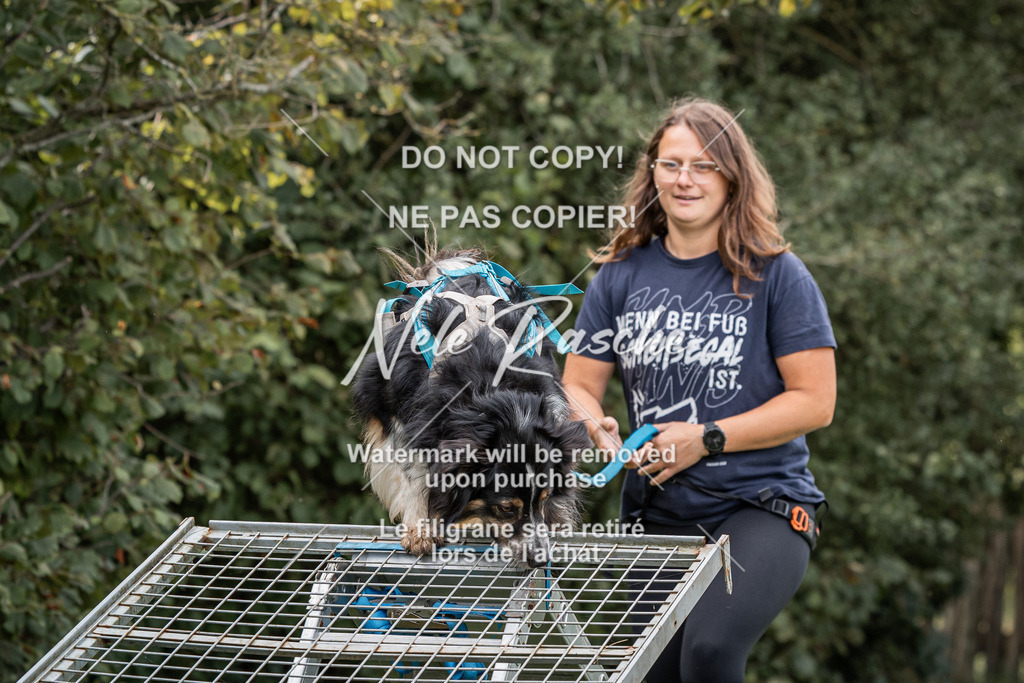 nelerasche_SoLauf_175 | nelerasche