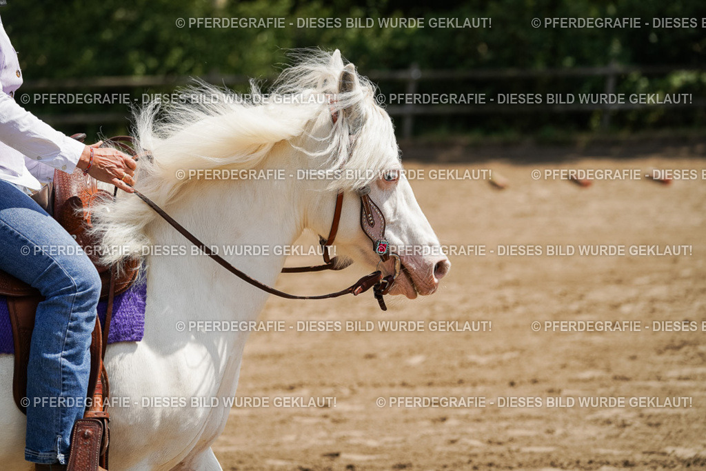 DSC07228 | Pferdegrafie