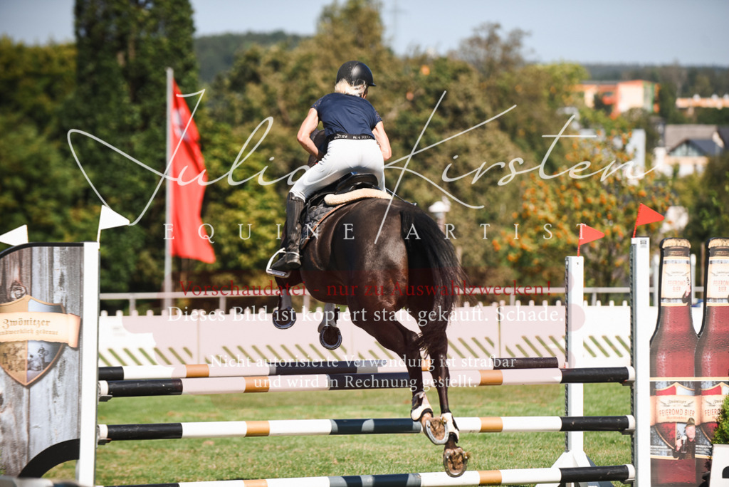 DSC_2775 | Pferde- und Turnierfotografie in Westsachsen. Pferdeportraits, Auftragszeichnungen und intuitive Kunst.