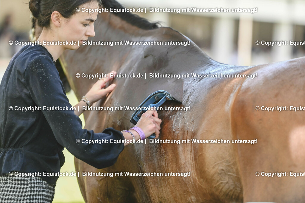 20230527_27_CCI4_Gelände_0290 | equistock