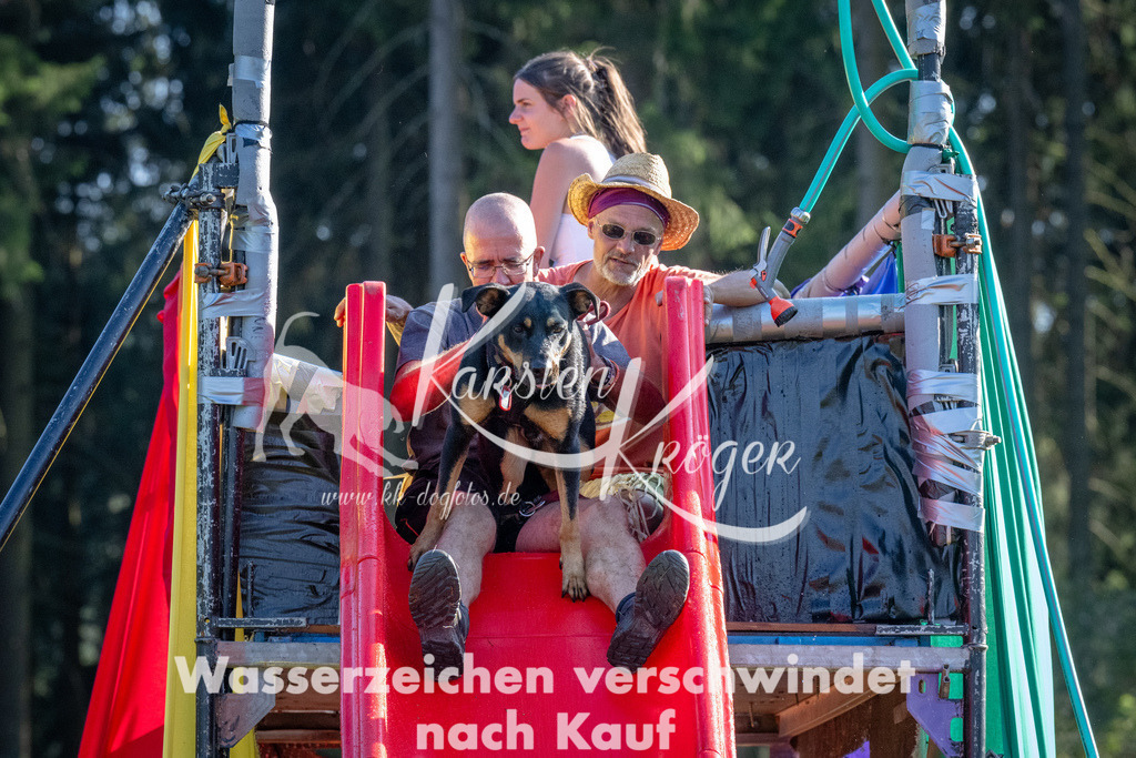 1645_ZZ91197 | kk-dogfotos