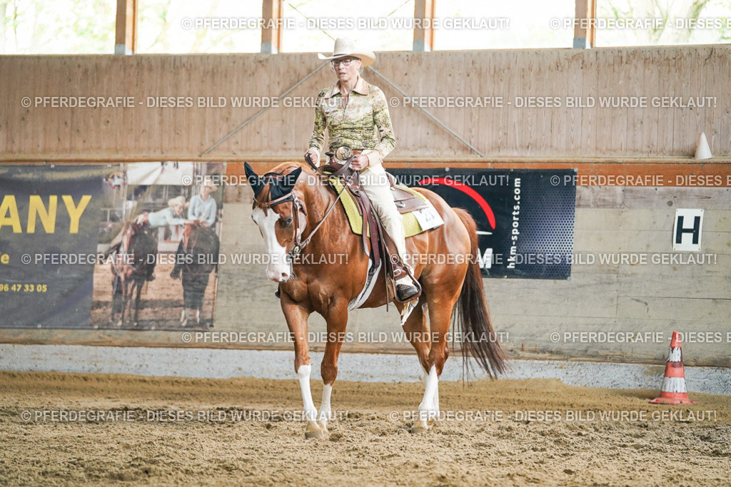 DSC05723 | Pferdegrafie