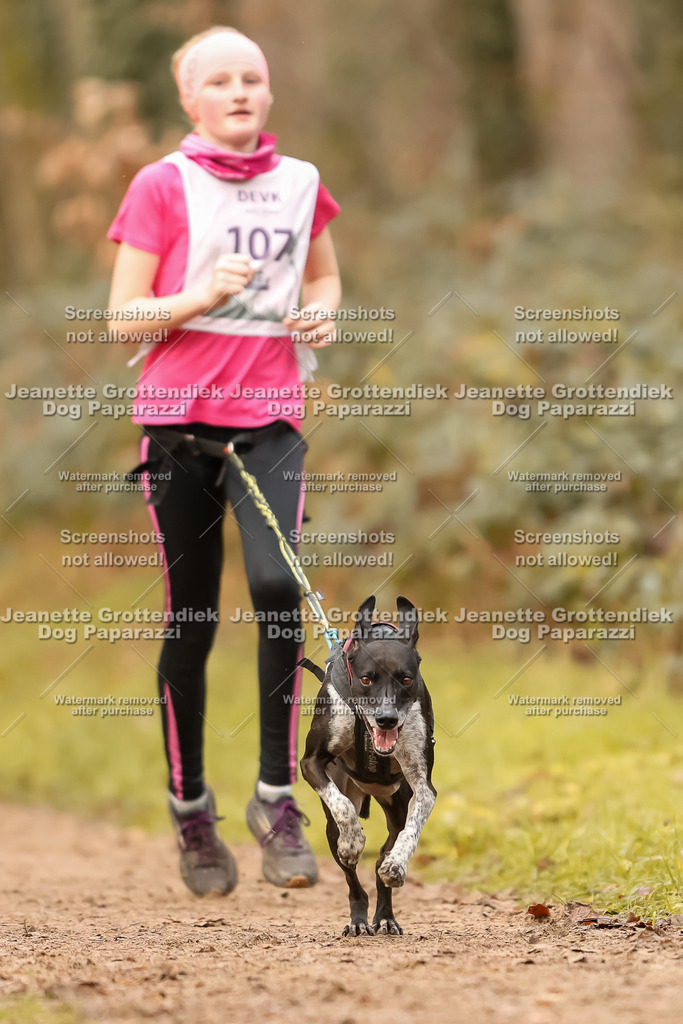 Dog Paparazzi - Speedhunter Mannheim  2025-295 | Dog Paparazzi Jeanette Grottendiek Fotografie & Videografie