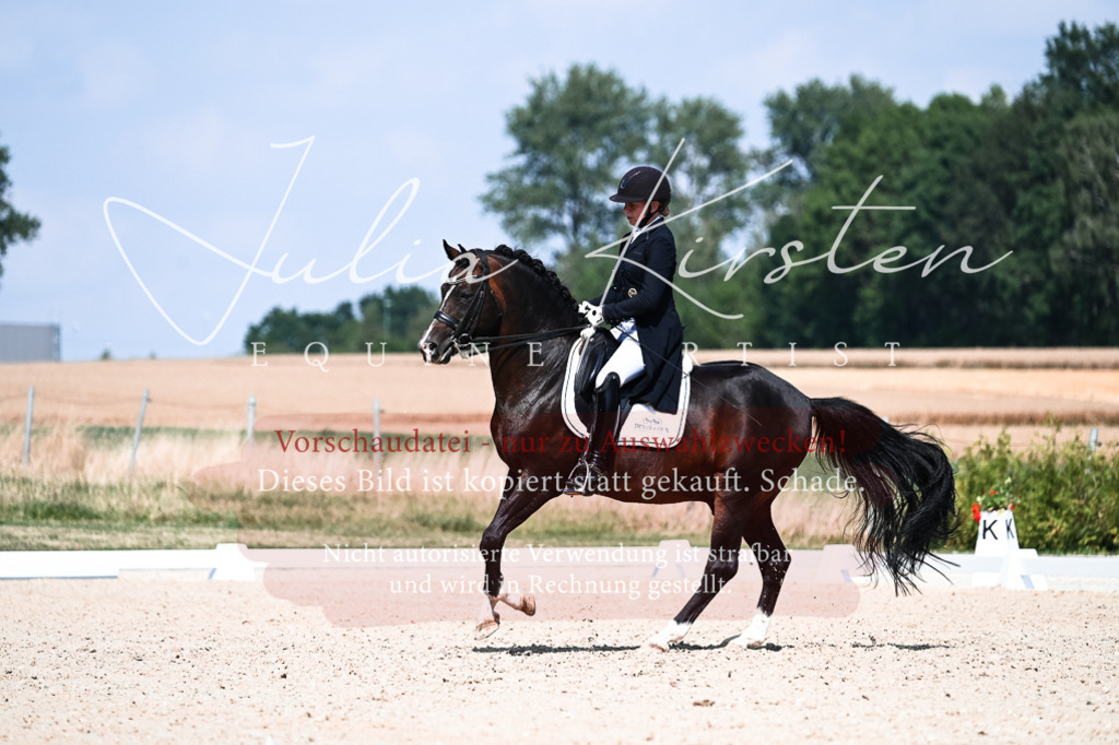 DSC_2962 | Pferde- und Turnierfotografie in Westsachsen. Pferdeportraits, Auftragszeichnungen und intuitive Kunst.