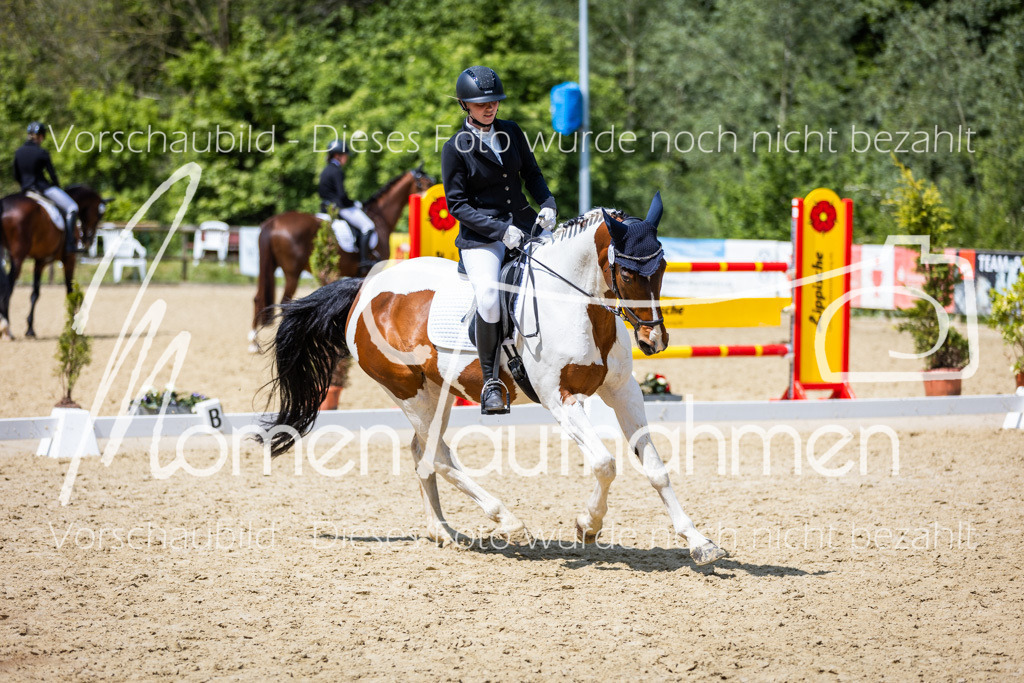 Donop24-EDre-002 | MomenTaufnahmen Pferdesportfotos