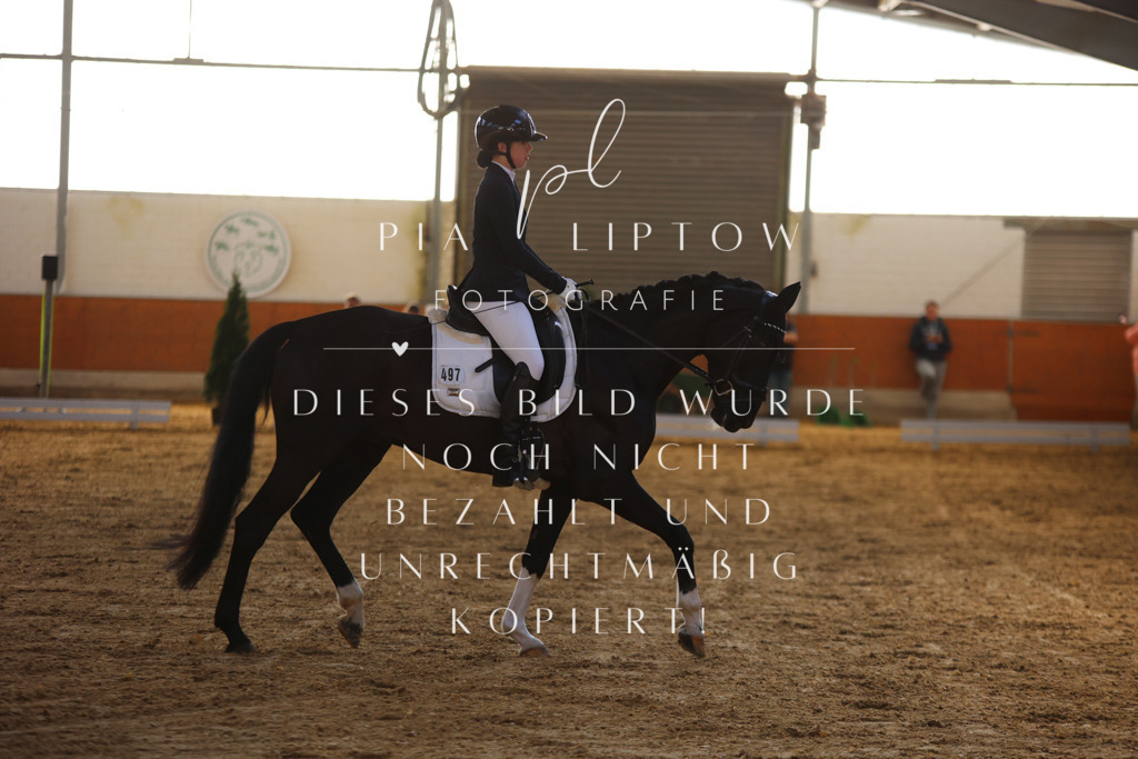 IMGT6150 | pl-fotografie