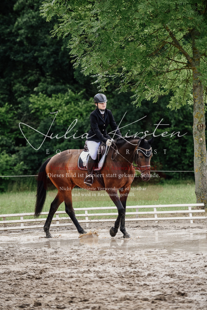 DSC_0736 | Pferde- und Turnierfotografie in Westsachsen. Pferdeportraits, Auftragszeichnungen und intuitive Kunst.