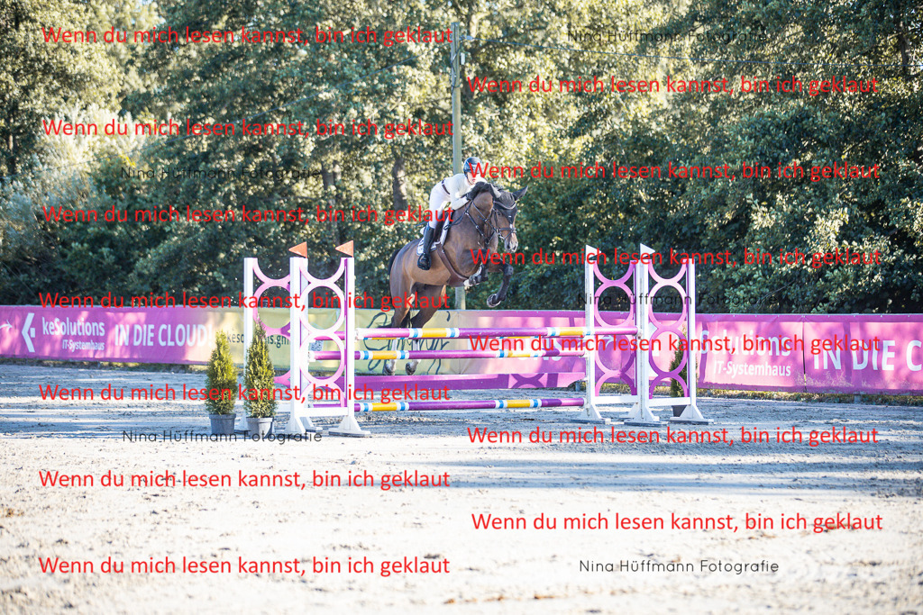 BK1A6173 | Turnierbilder Turnierfotos Nina Hüffmann Turnierfotografie Pferdefotografie Tierzeichnung Haustierzeichnung Pferdezeichnung Hundezeichnung Videograf  - Realisiert mit Pictrs.com
