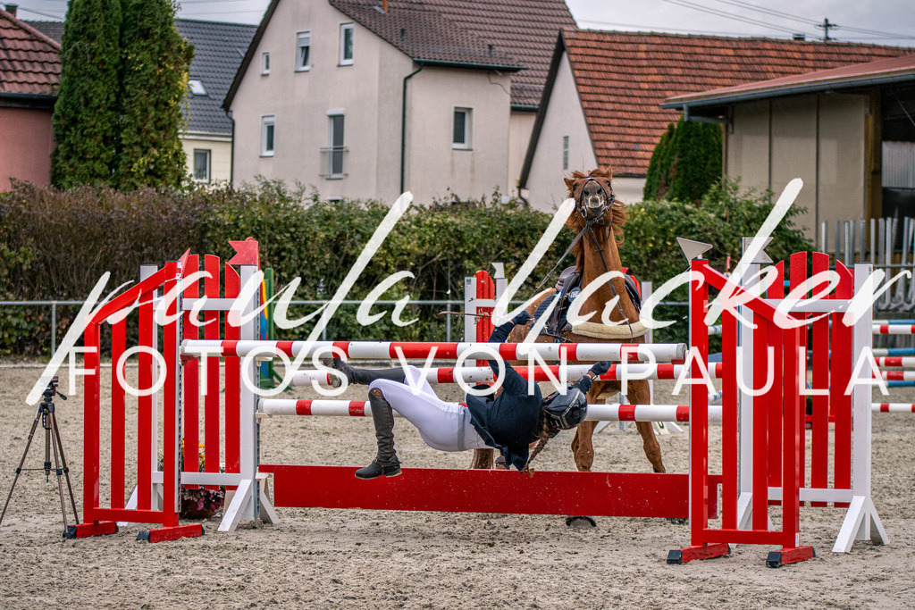 IMG_6094 | Erleben Sie dynamische Sport- und emotionale Tierfotografie in Süddeutschland mit Fotos von Paula. Spezialisiert auf Pferde- und Hundefotografie sowie Sportevents. Kontaktieren Sie mich für einzigartige und ausdrucksstarke Bilder Ihrer besonderen Momente.