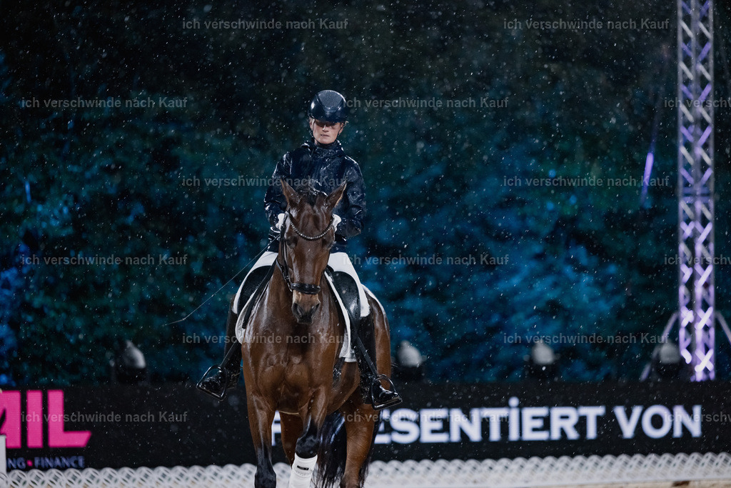 FHClassics-94 | working equitationturnier fotograf videograf stoibphotography marixx film working equitation deutschland reitsport turnierfotografie eventfotografie equestrian events