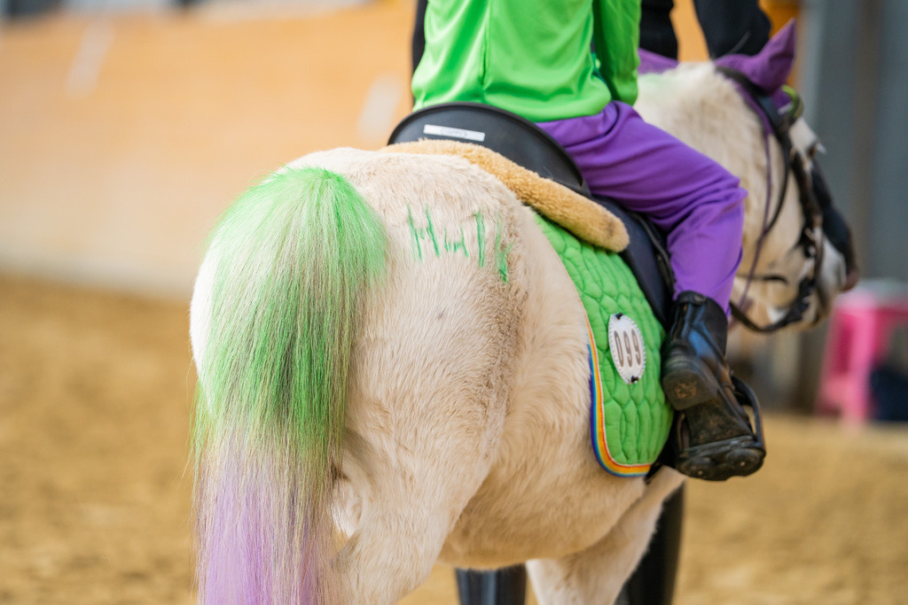 DSC00136 | Pferdegrafie