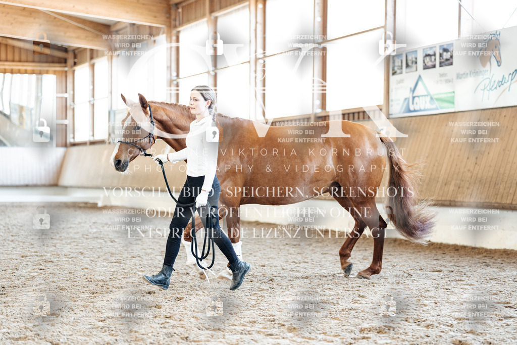 CK906922 | Turnierfotografie Pferdefotografie Trier Rheinland-Pfalz Pferdesport Reitsport Tierfotografie Sportfotografie Pferdevideo Pferdevideografie Equestrianvideography equestrianphotography  - Realisiert mit Pictrs.com