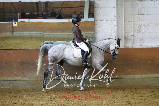 DKP43432 | Turniersportfotografie; Pferdefotografie; Dressurfotografie