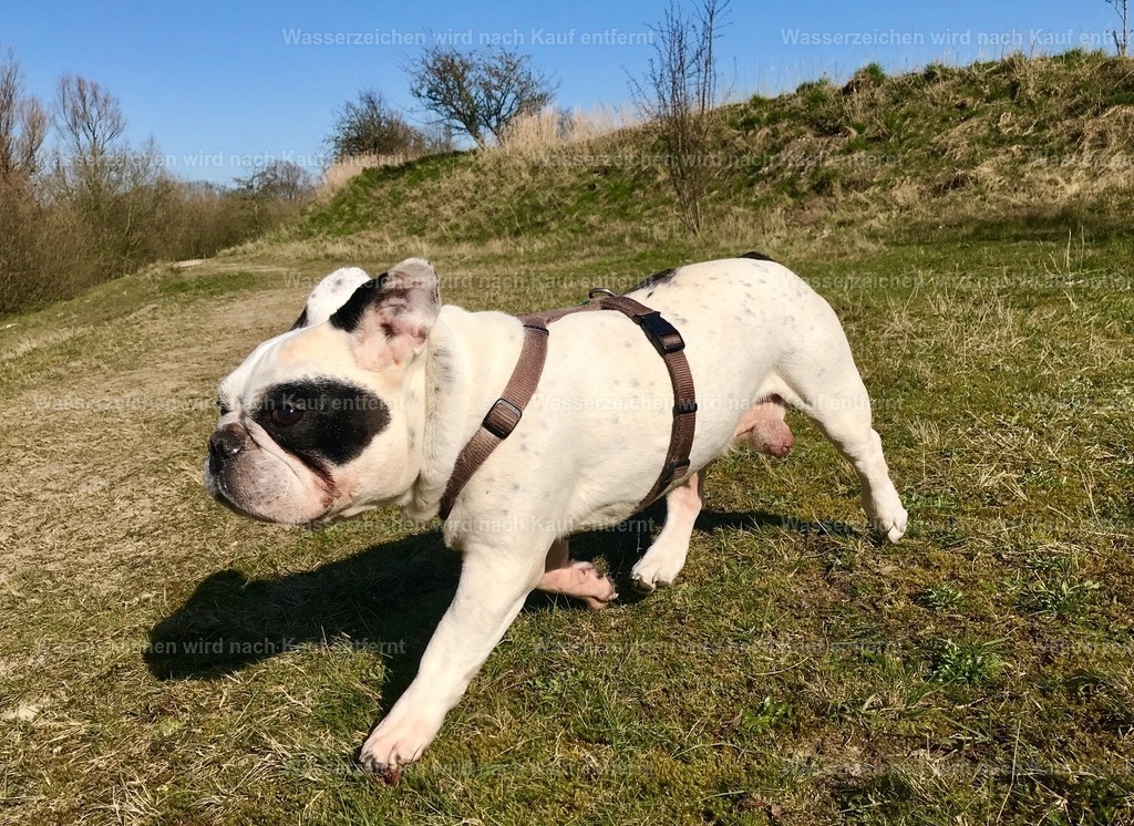 IMG_8866 | heikomoeller - Realisiert mit Pictrs.com