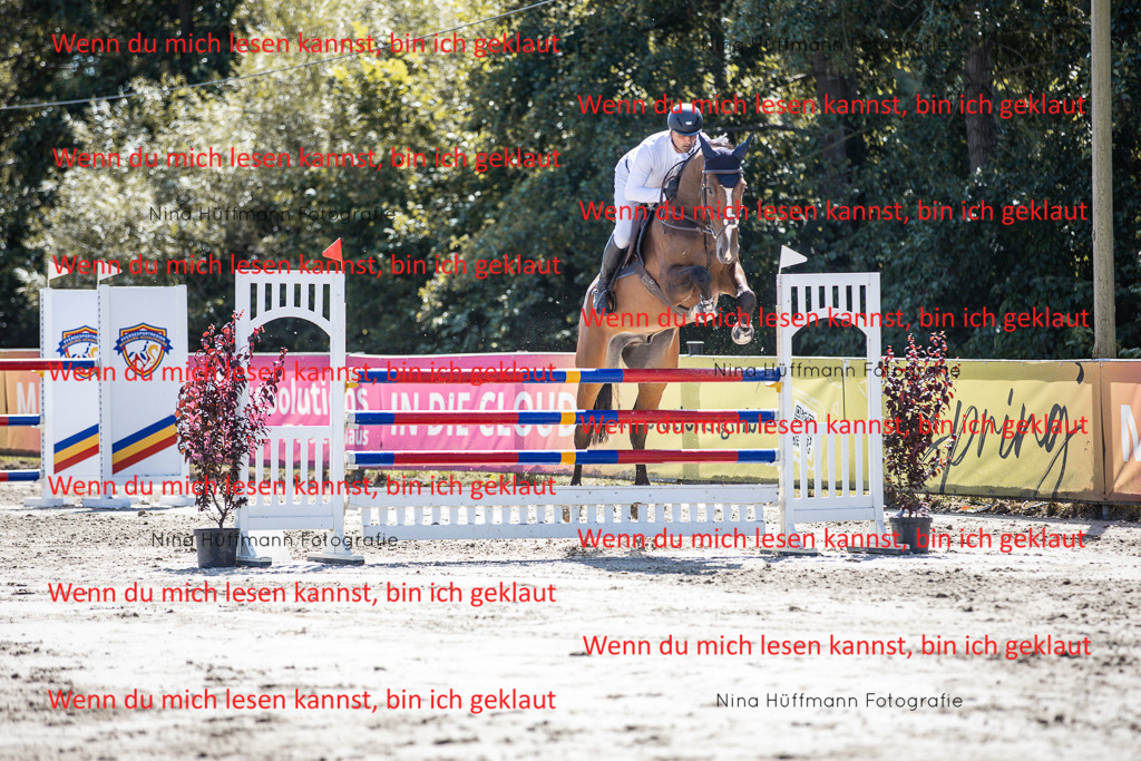 BK1A6403 | Turnierbilder Turnierfotos Nina Hüffmann Turnierfotografie Pferdefotografie Tierzeichnung Haustierzeichnung Pferdezeichnung Hundezeichnung Videograf  - Realisiert mit Pictrs.com