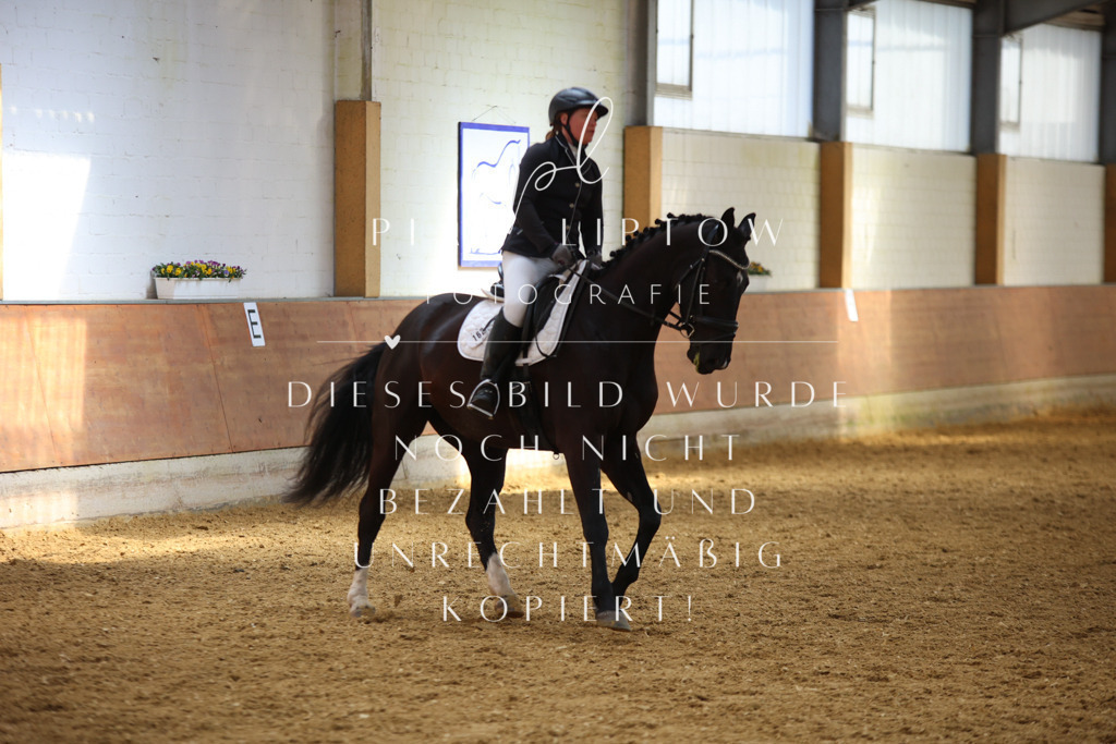 IMGT4292 | pl-fotografie