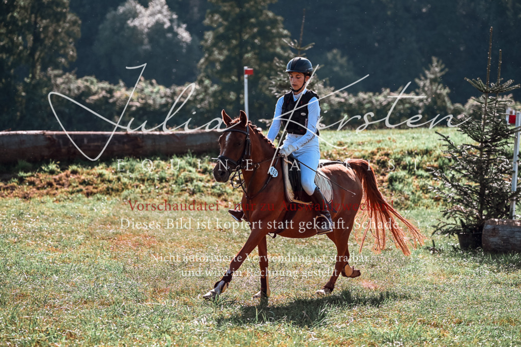 DSC_0870 | Pferde- und Turnierfotografie in Westsachsen. Pferdeportraits, Auftragszeichnungen und intuitive Kunst.