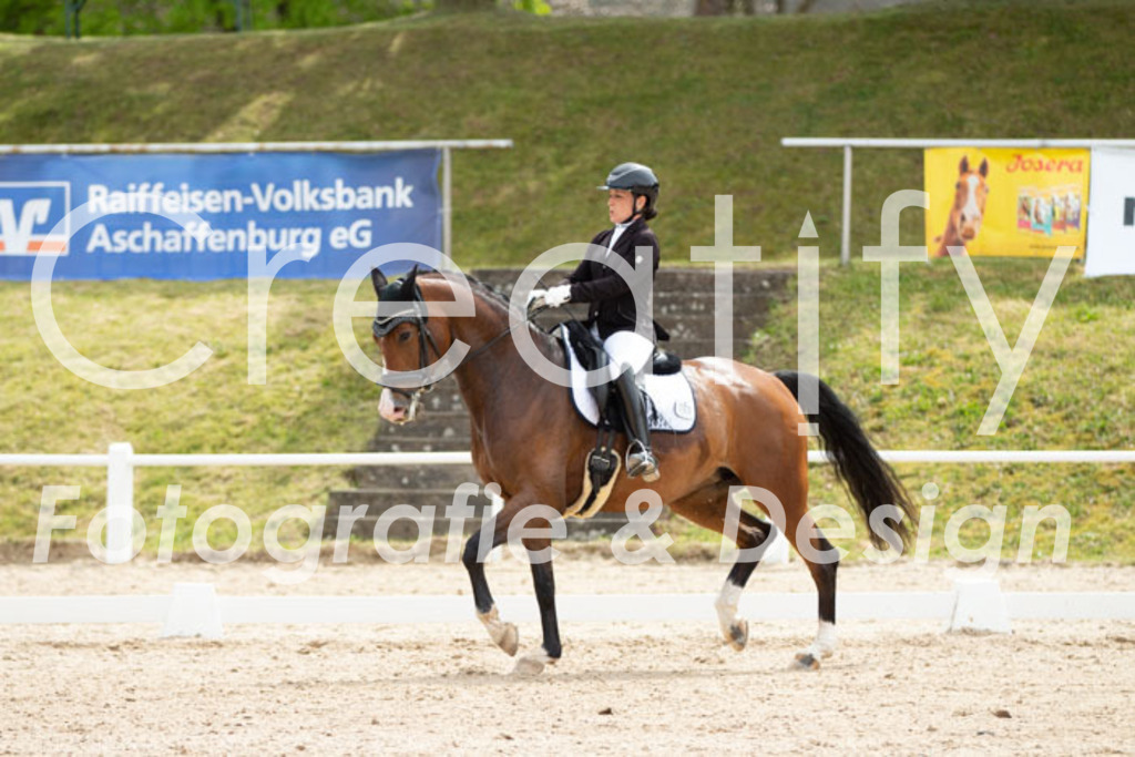 IMG_2812 | Creatify Fotografie