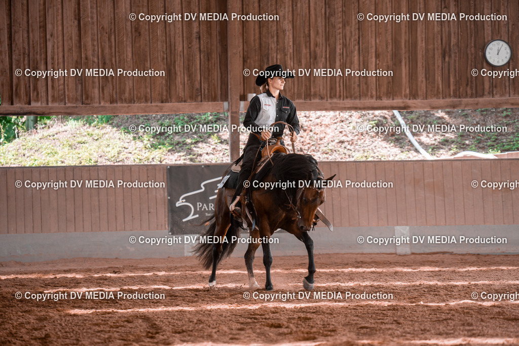 NE100528 | dv-media-shop - Realisiert mit Pictrs.com