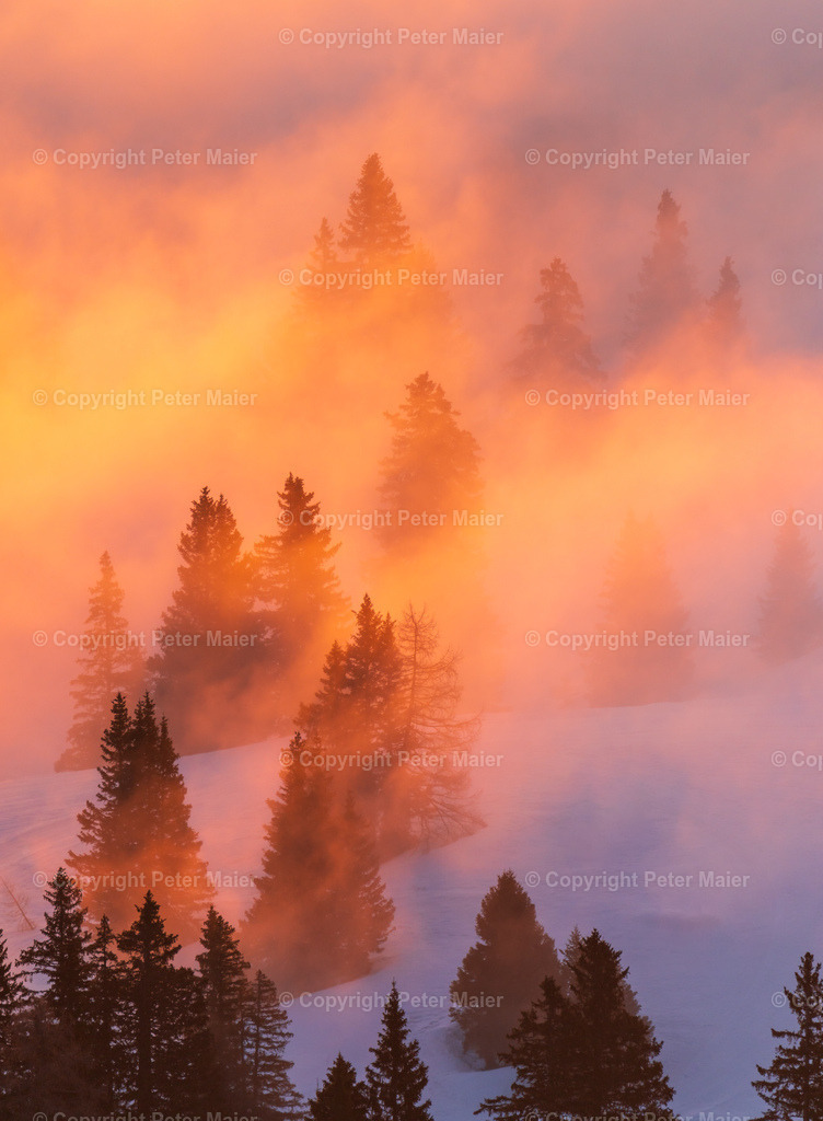 Dobratsch_Sonnenaufgang-77 | piet_flosse