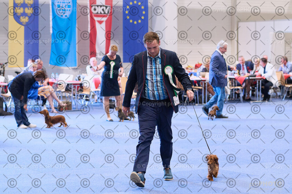 202406_ÖKV-IHA-Tulln24_DSC_3896 | proPHOTO - Realisiert mit Pictrs.com