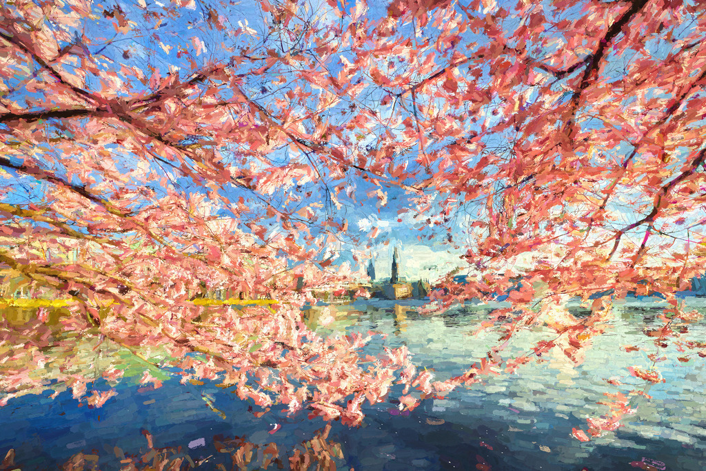 10210412 - Kirschblütentraum | Wunderschönes impressionistisches digitales Gemälde der Kirschblüte an der Binnenalster. 