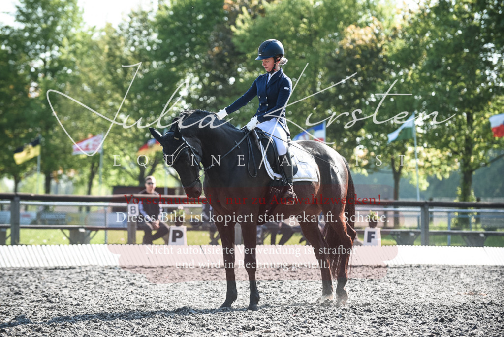 DSC_8561 | Pferde- und Turnierfotografie in Westsachsen. Pferdeportraits, Auftragszeichnungen und intuitive Kunst.