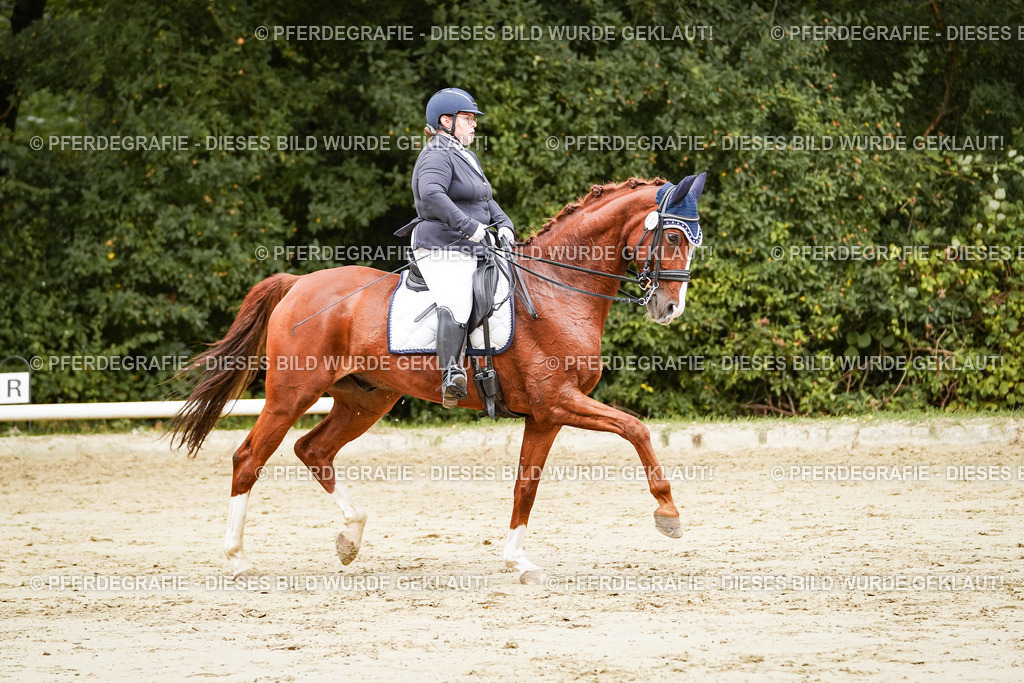 DSC03137 | Pferdegrafie