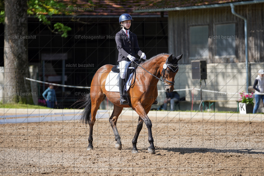 20240519-FAH04710 | Turnierbilder Niederseeon 2024, Vielseitigkeitsdressur, Reitsportbilder aus dem Landkreit Ebersberg, Gut Steinsee, RC Steinsee, Fotoagentur Herrmann