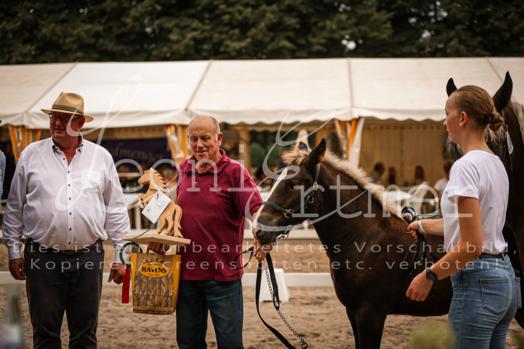 SaHF00129 | Leoni Ertmer Photography - Realisiert mit Pictrs.com