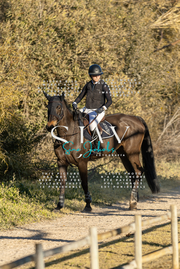 IMG_2480 | s-jay-photography - Realisiert mit Pictrs.com